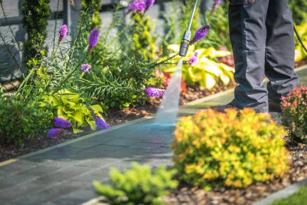 Best Spring Cleaning  in Rockport, TX